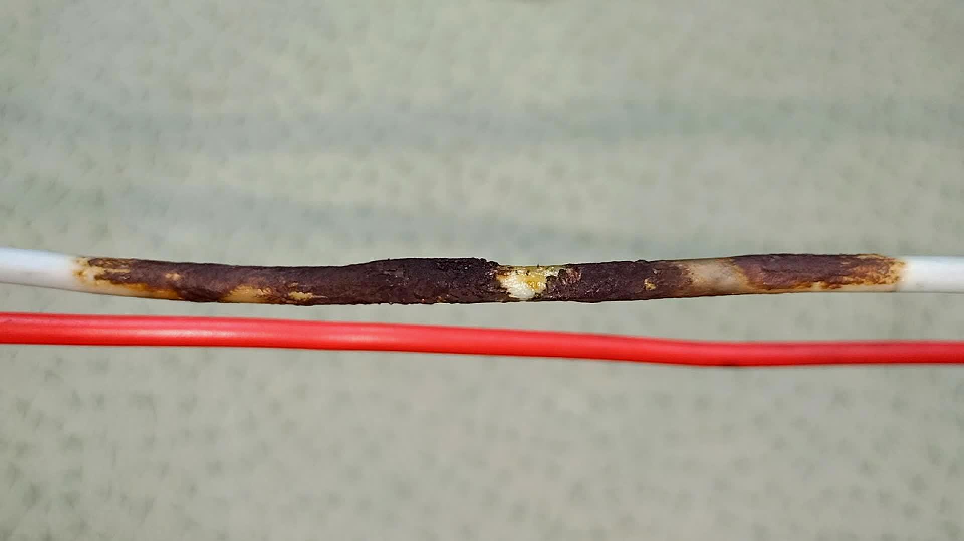 电线都烧了为什么没跳闸?原来是家里这样配电线,怪不得不跳闸