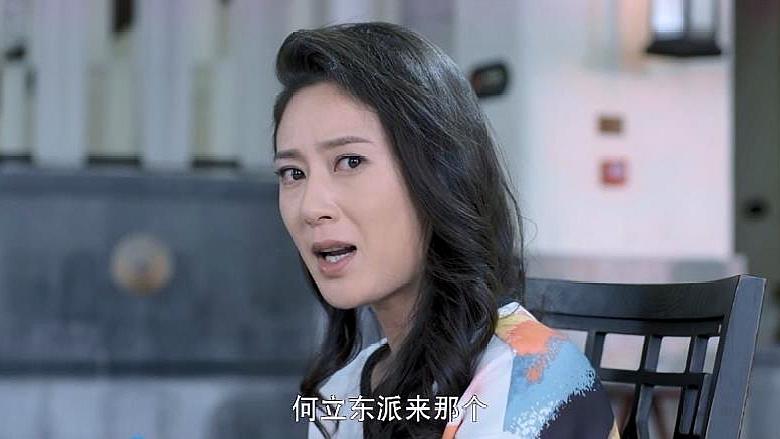 付辛博演过哪些电视剧?