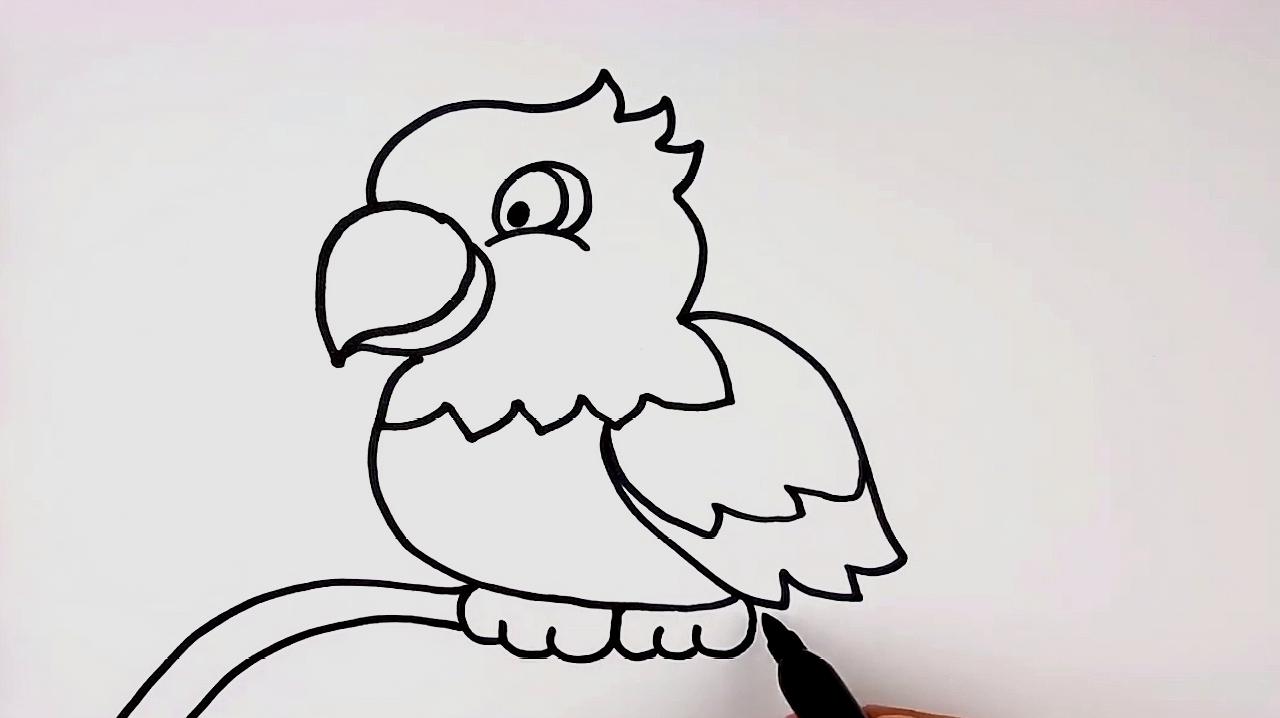 鹦鹉简笔画怎么画