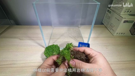 不需要co2的前景草 百度