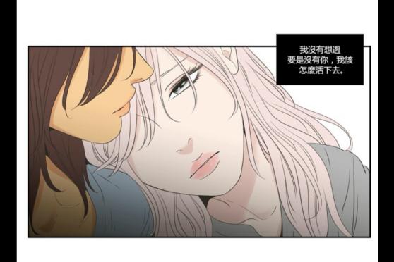 狐狸在说什么简介 百度