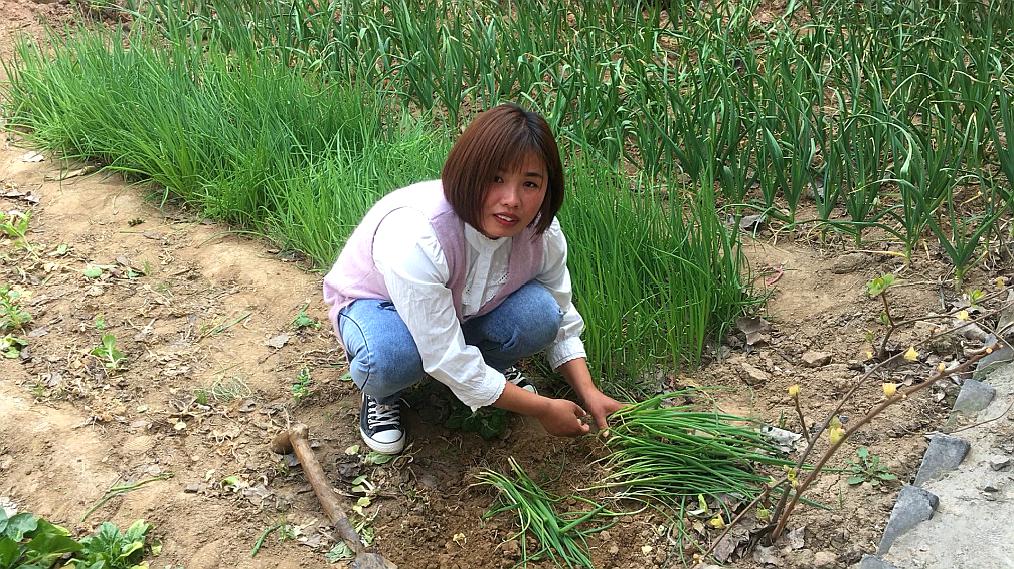 小香葱的种植技巧和养护方法