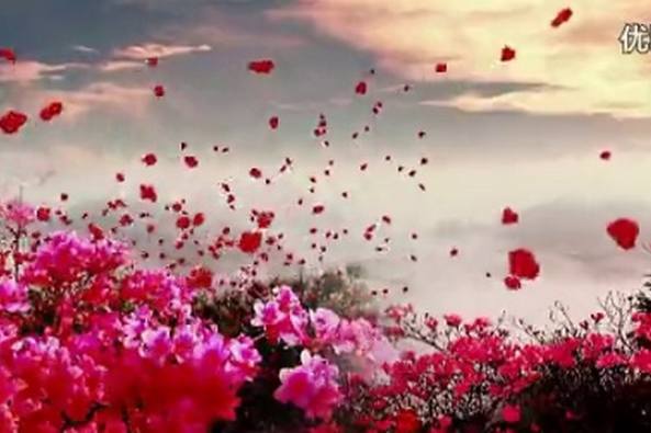 基督教新年诗歌 百度