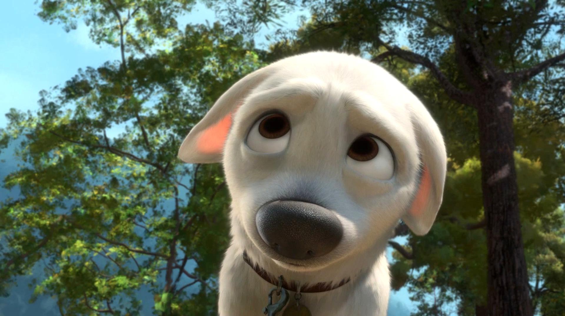 一只狗无敌的动画片图片
