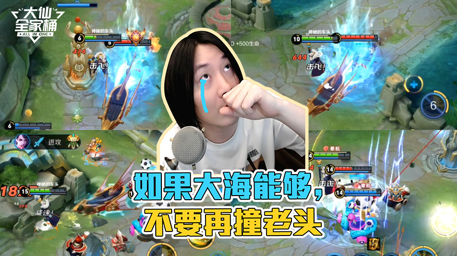 王者荣耀张大仙搞笑游戏集锦