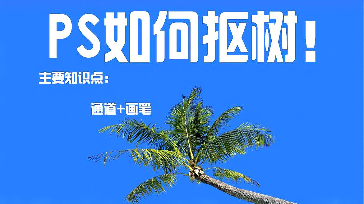 学会这些技巧,ps抠图不再是难题