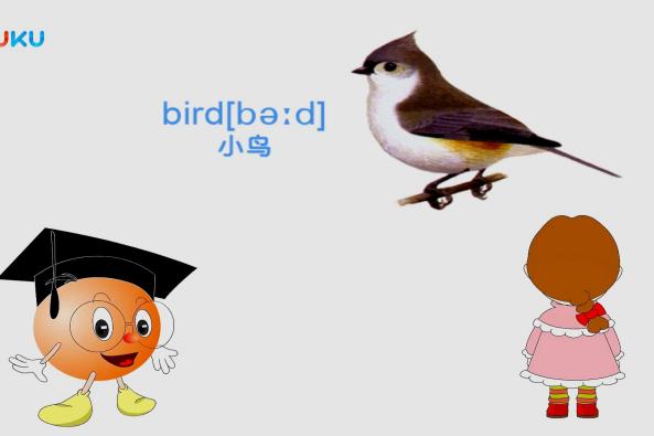 英文bird怎么读 百度