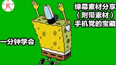 绿幕素材 附带教程 手机党必备 巧影 素材分享 爱言情