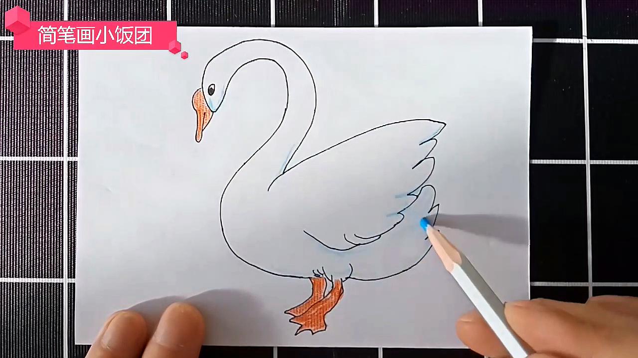简笔画教程,一起来画一只大白鹅,很简单,一分钟学会!