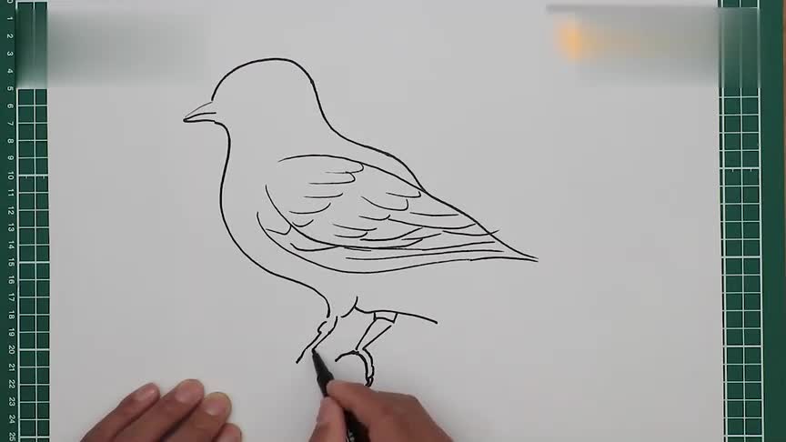 小鸟简笔画怎么画的?