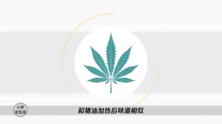 吸毒人身上的气味 百度 吸毒人身上的气味 百度