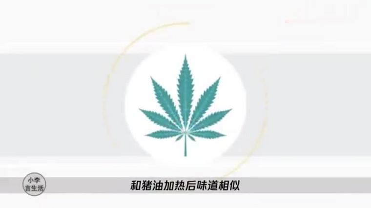 吸毒人身上的气味 百度