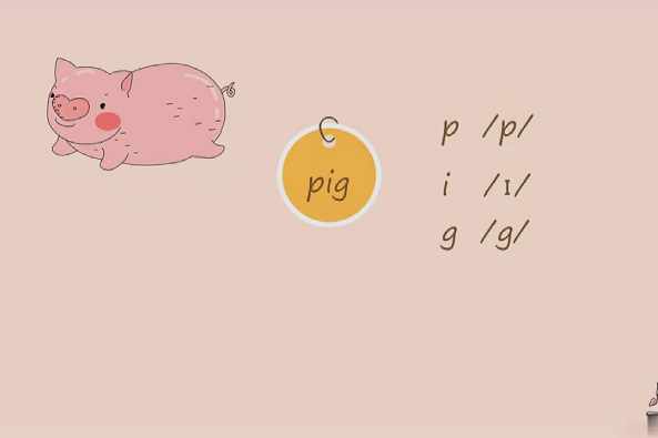 猪的英文怎么写