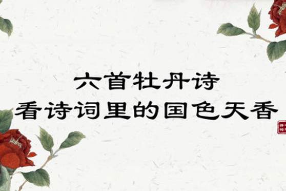 最有名的牡丹诗 百度 最有名的牡丹诗 百度