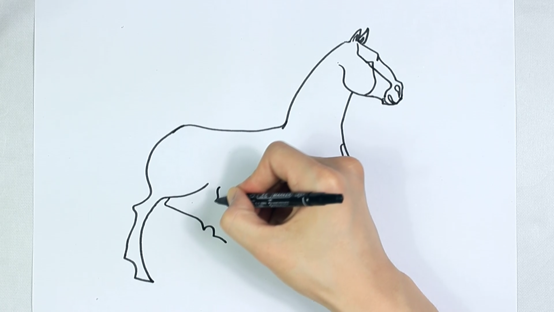 马的简笔画怎么画?