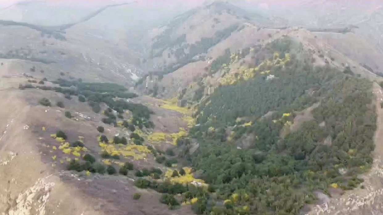 大王叫我来巡山 秦岭山脉寻花仙