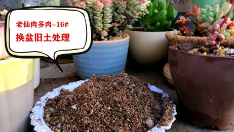 盆栽换盆 3步教你把旧土变新土 这样处理后营养土都不用买了 相关视频 花盆换下的土别扔掉 简单处理一下 就能把旧土变新土 爱言情