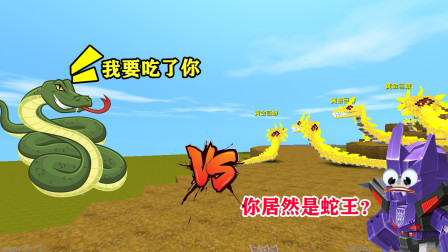 迷你世界:惊破天进化成"黄金巨蟒",我只好变蛇王,一口吃掉他