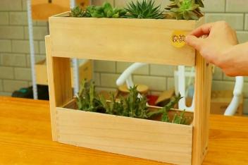 Diy多肉植物花架 百度视频搜索