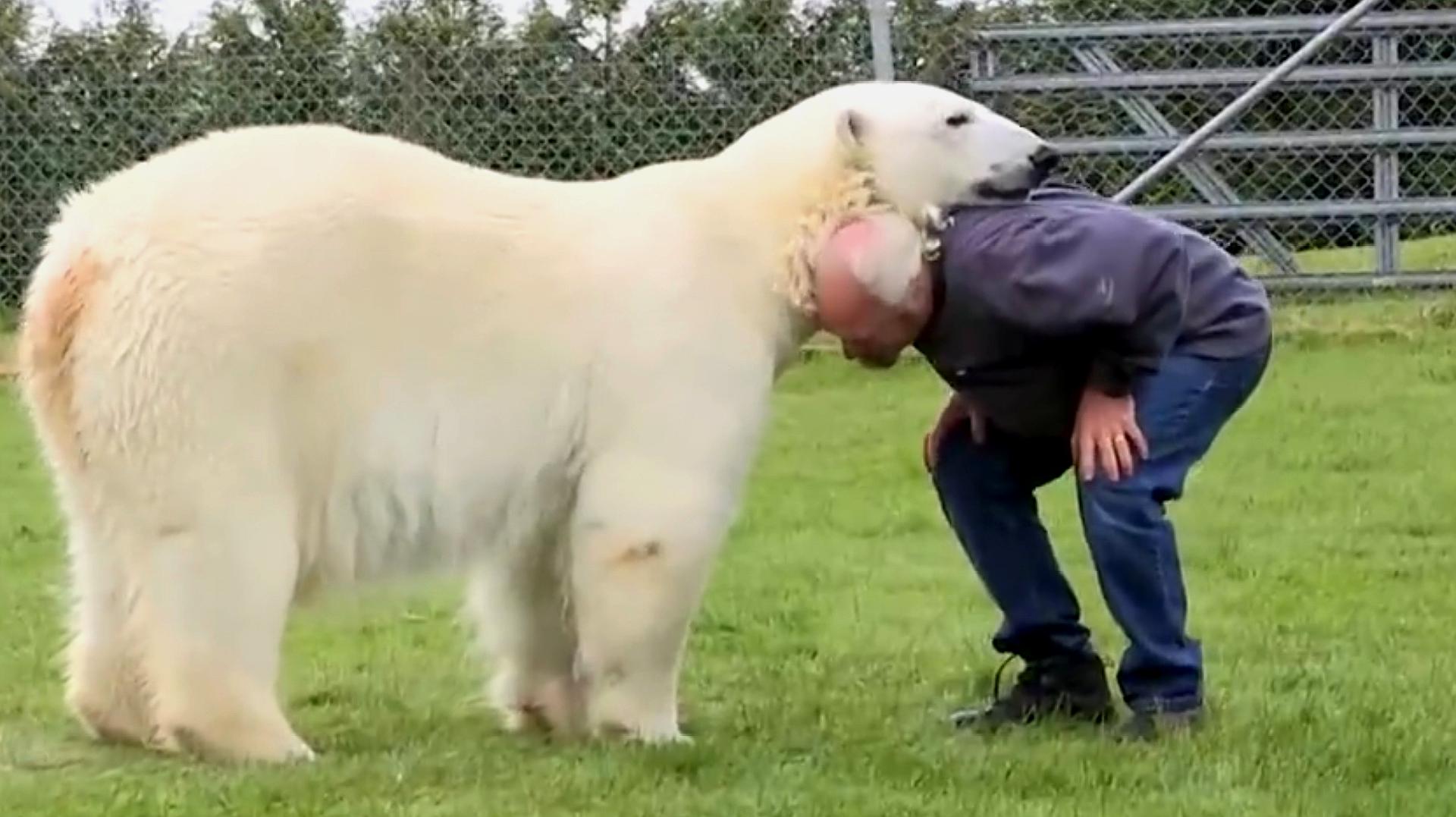 北极熊和饲养员生活在一起,画面温馨,感情犹如家人