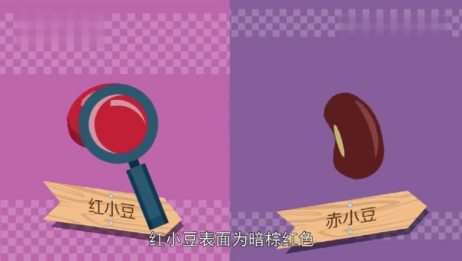 红小豆和红豆的区别是什么 爱言情
