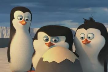 00:38企鹅宝宝学敬礼,真是呆萌可爱,让人想摸摸他!