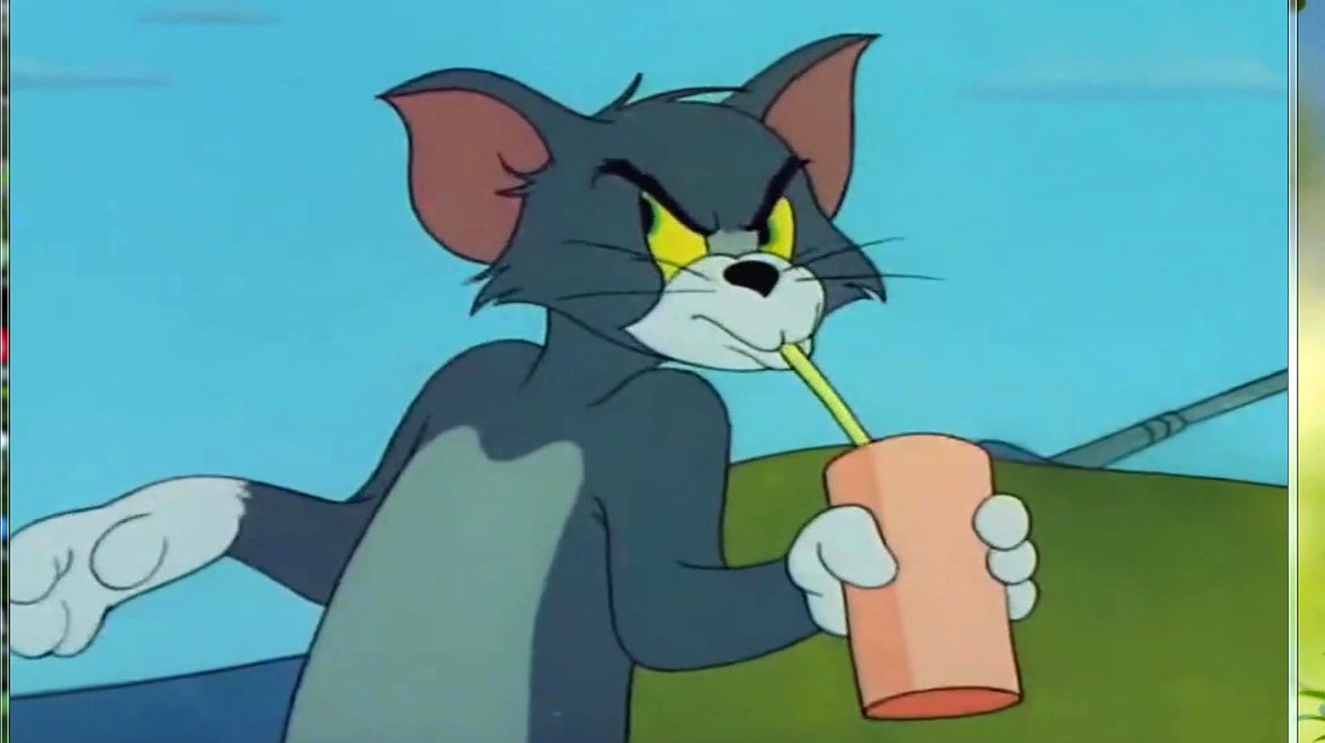游戏精选《猫和老鼠》的那些视频合集
