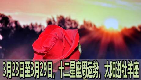 3月23至3月29日 十二星座整体运势 财运解析 你的运势如何 爱言情