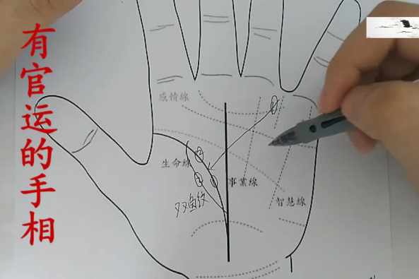 女人左手手相图解大全 百度