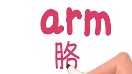 手臂的英语怎么读 胳膊的英文怎么读音 爱言情 手臂的英语怎么读 胳膊的英文怎么读音 爱言情
