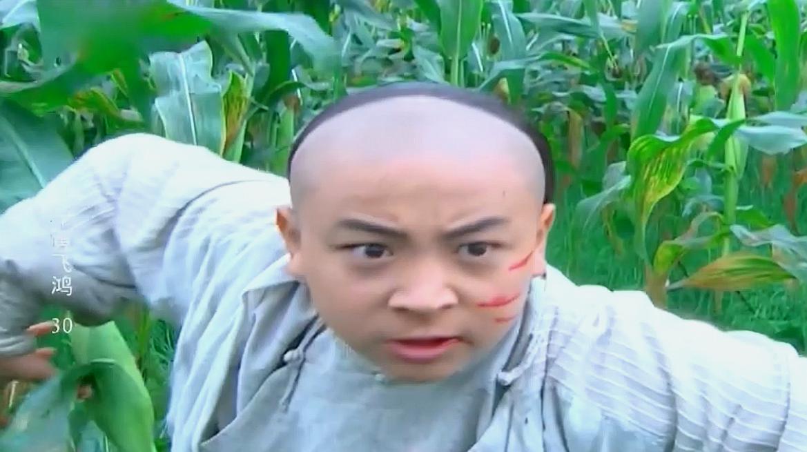 少年黄飞鸿:大战之中,黄飞鸿终于领悟少林心法,恭喜