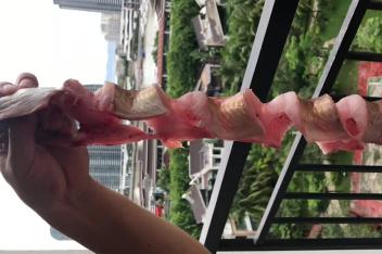 鳗筒怎么腌制 百度视频搜索