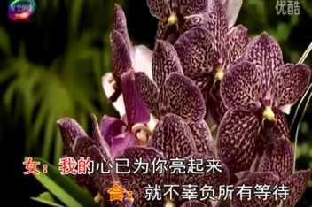 『dj舞曲』为你而来 ～ 广智vs孟愉(高清)_百度视频搜索