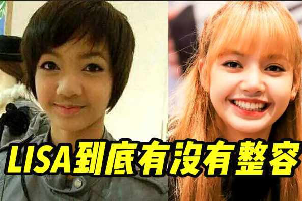 Lisa是什么脸型 百度