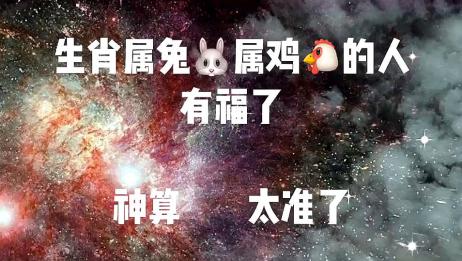 属兔a型射手男和属鸡ab型天枰女恋爱需要注意什么 相关视频 老师傅说属兔属猴和属鸡的人这天出生的命最好命中有贵人相助福泽有余 爱言情