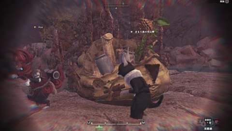 Mhw 怪物猎人世界 龙结晶之地 隐藏食材 龙腰肉 琥珀凝块增殖中 路线1