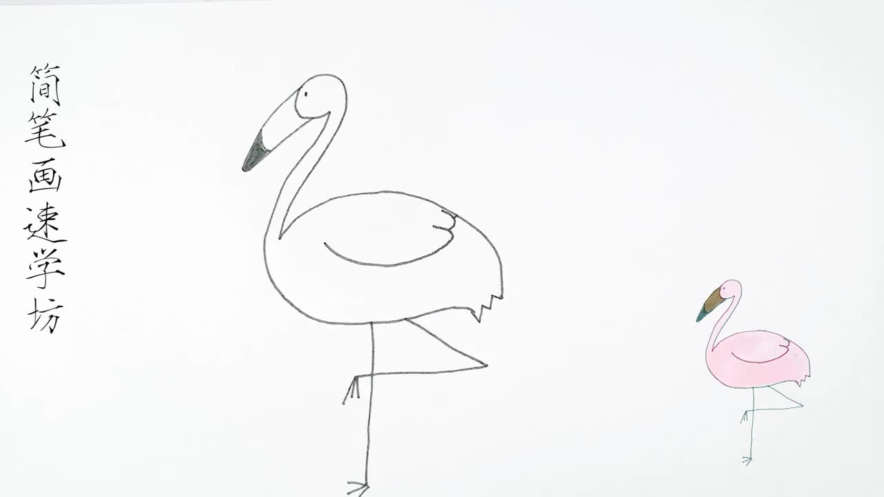 01:17  来源:好看视频-简笔画:幼教小姐姐教你画可爱的火烈鸟,简单