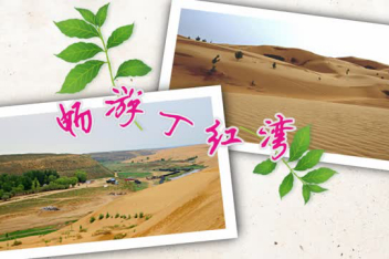 丁红湾景区简介地址_百度视频搜索