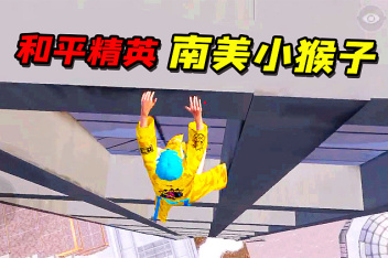 南美小猴子解说和_百度视频搜索