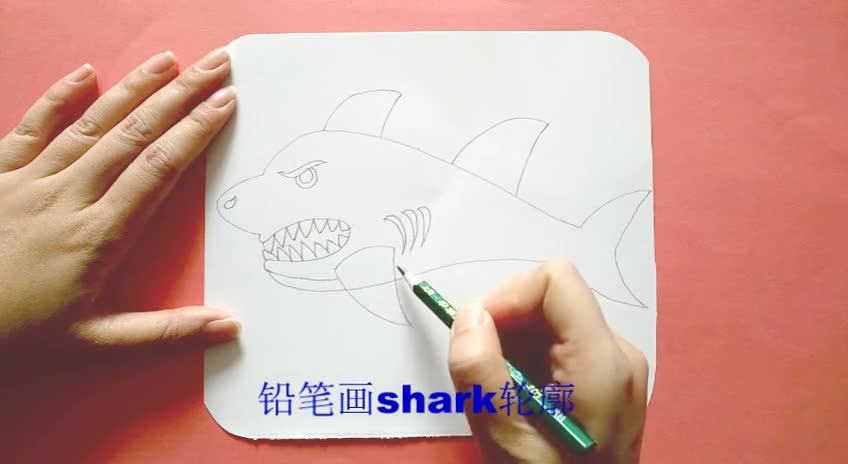 杨桃妈妈英语启蒙简笔画shark鲨鱼大白鲨