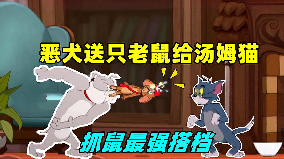 河马游戏解说猫和老鼠之汤姆的精彩视频集合11个视频