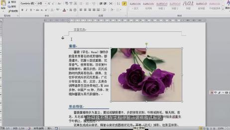 快速删除word文档里的格式文档标记 爱言情 快速删除word文档里的格式文档标记 爱言情