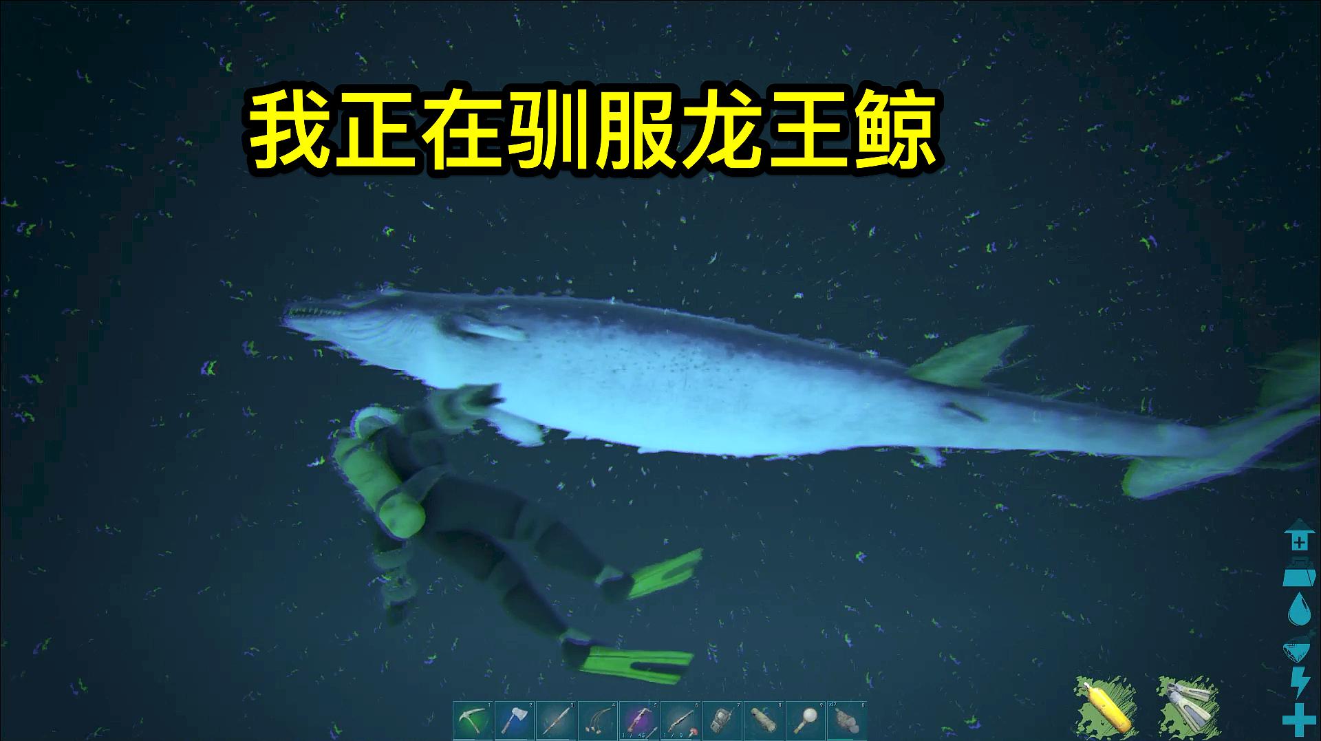 方舟生存进化 孤岛27 抓了一条海底龙王鲸称霸海洋指日可待