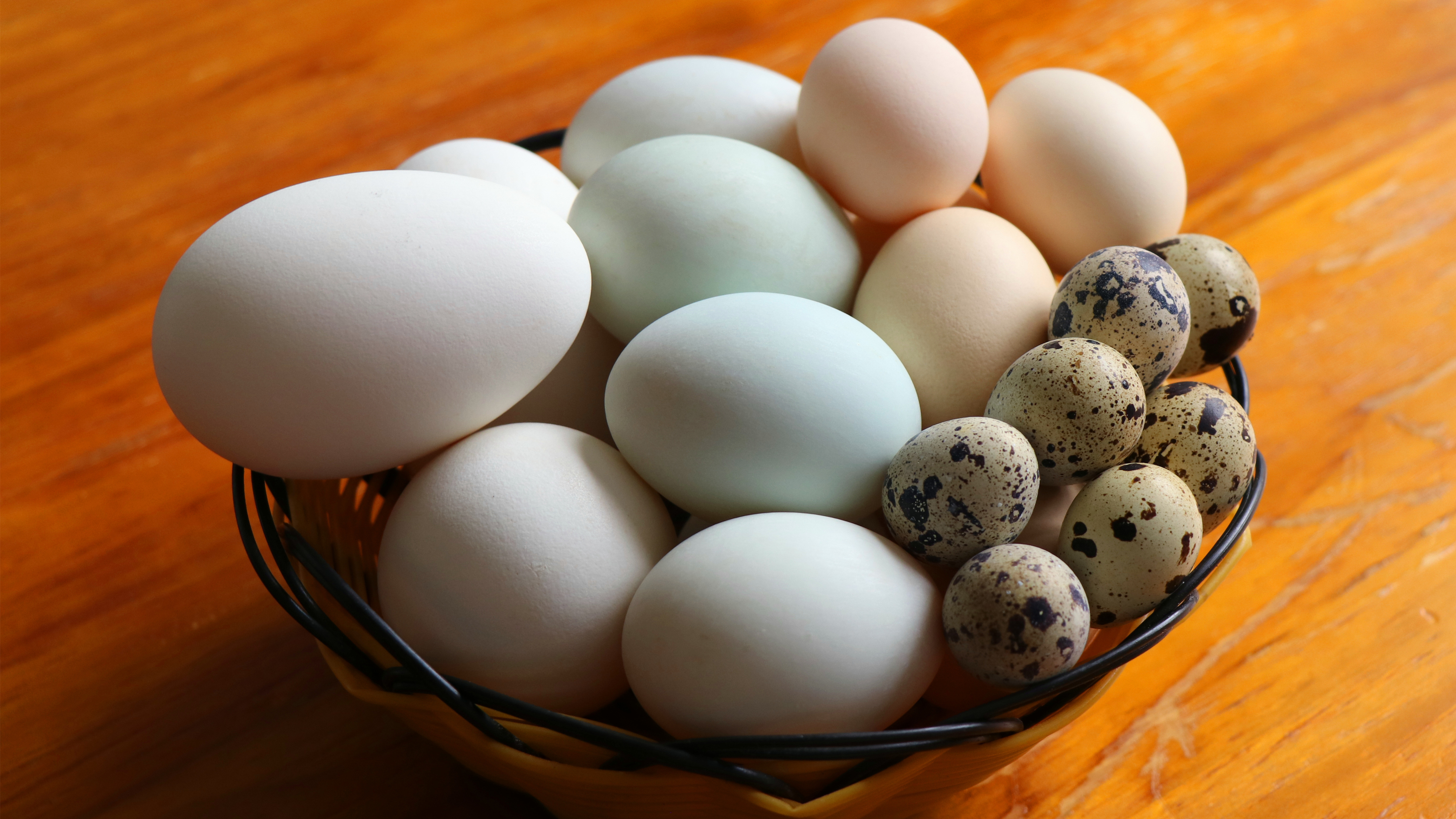 鸡蛋的 全网资源