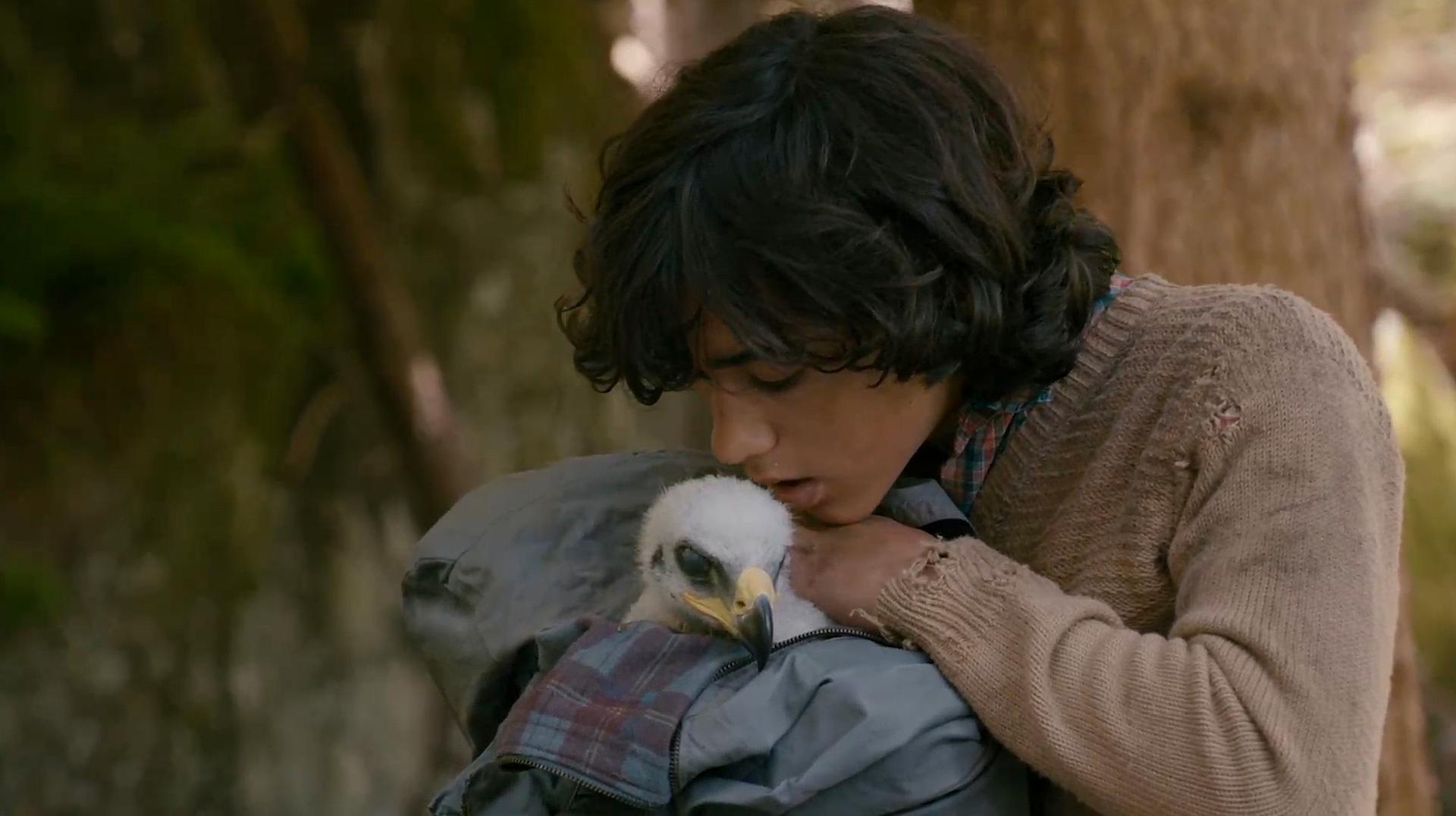 7评分电影有哪些?