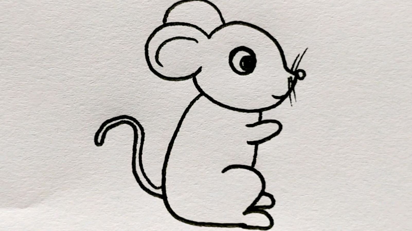 老鼠动物简笔画图片