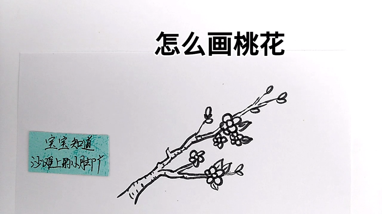 简笔画:怎么画桃花