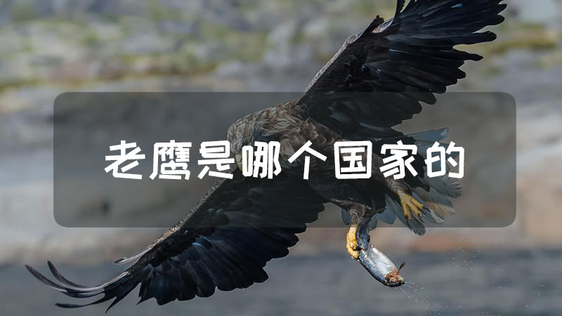 老鹰是哪个国家的