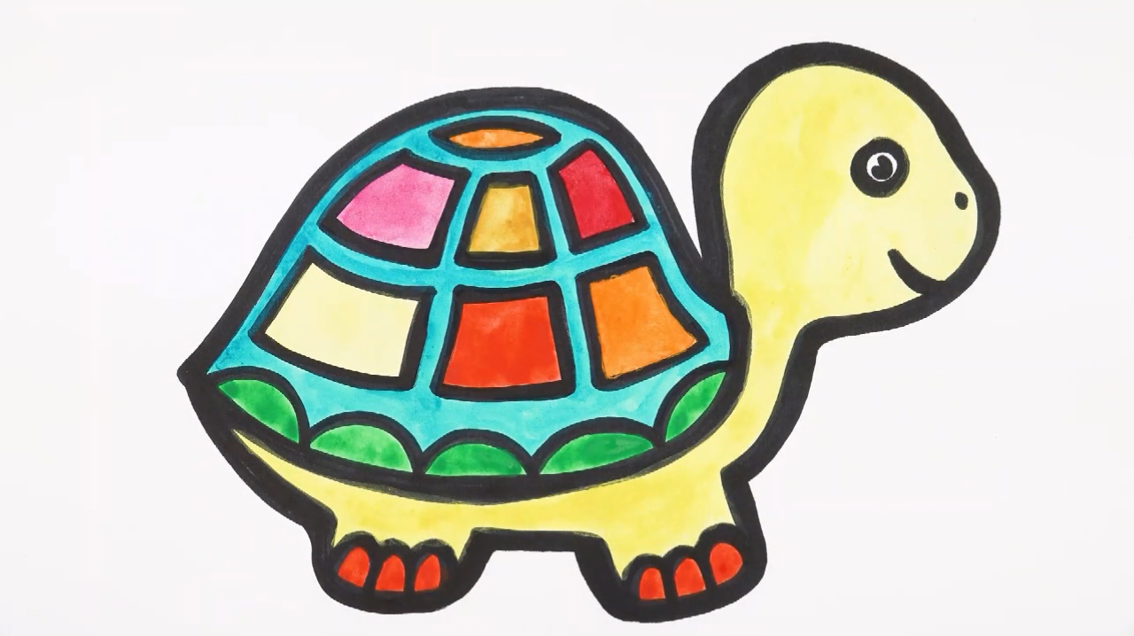 乌龟简笔画图片带颜色图片