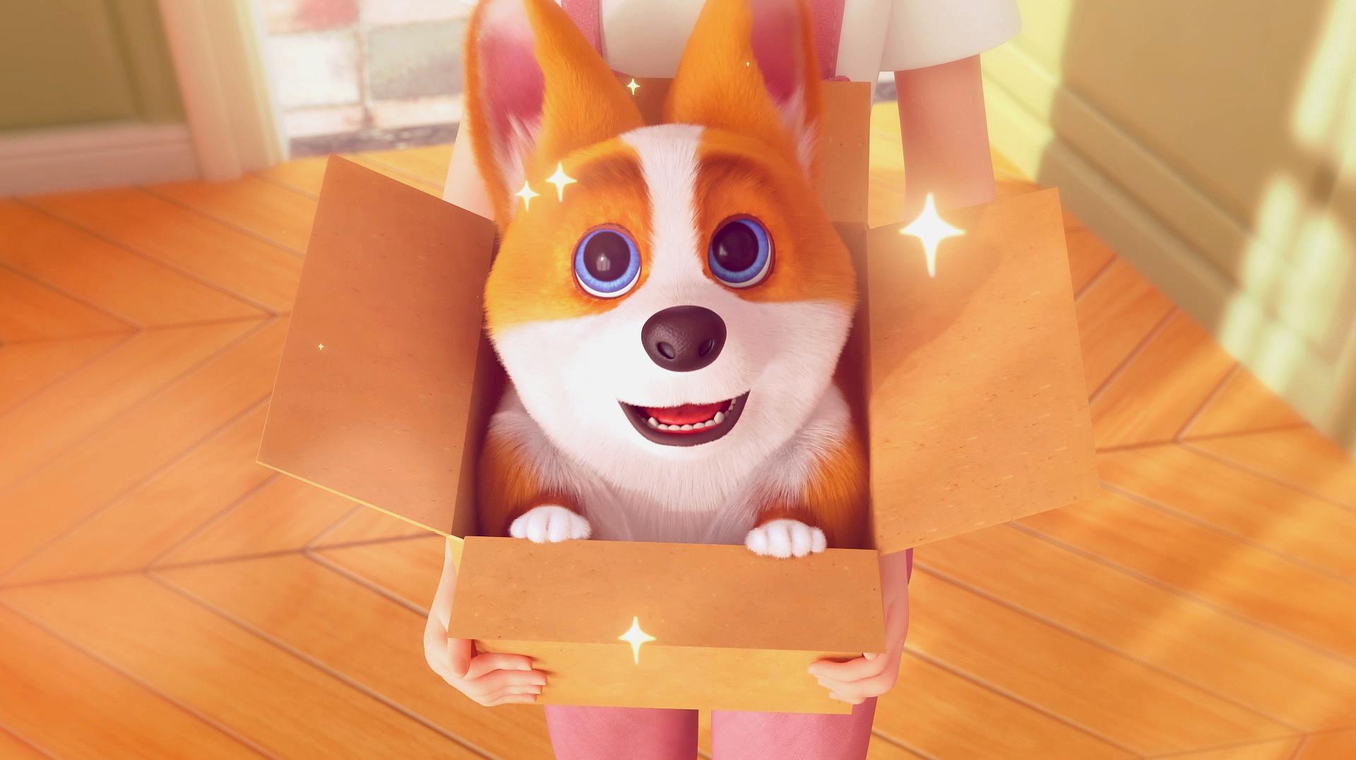 短腿小柯基精彩片段